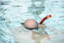 schnuppertauchen 2012_01_06_55